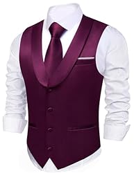Barry.Wang Mens Dark Purple Vest Formal/Leisure