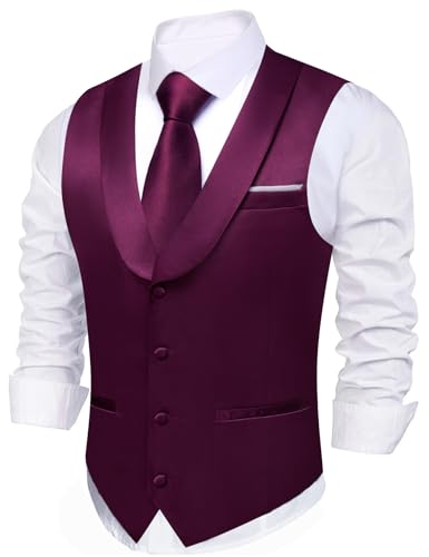 Barry.Wang Mens Dark Purple Vest Formal/Leisure