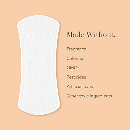 image for Rael Certified Organic CottonPanty Liners, Regular - 3Pack/60 total - 