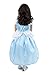 Little Adventures Classic Cinderella Princess Dress Up Costume (Small Age 1-3) Blue