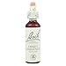 Bach Original Flower Remedies, Sweet Chestnut - Be Optimistic - Natural Homeopathic Flower Essence for Emotional Balance - Vegan, Gluten Free, Sugar Free - 20mL Dropper