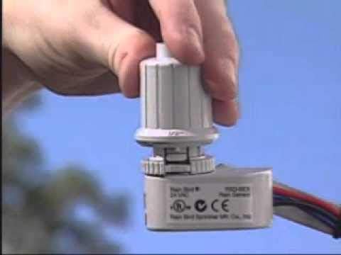 Rain Bird RSD Rain Sensors, White/Opulent Garden, wired rain sensor - Image 3