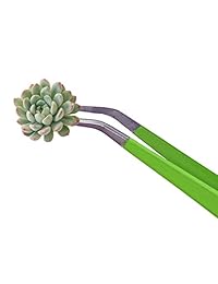 Herramientas de jardinería, puntas curvas, acero inoxidable, para jardinería en miniatura, suculentas, cactus y suculentas, extra largas, de buena calidad, multiusos.