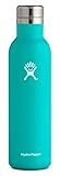 Hydro Flask 25 oz Wine Bottle - Stainless Steel & Vacuum Insulated - Leak Proof Cap - Mint