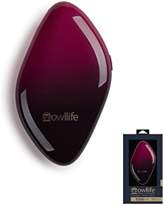 Owllife JEWEL Series Intelligent PowerBank 5200 -Ultra Compact Portable Charger (External Battery Power Bank) with High-Speed Charging PowerIQ Technology ( Black)