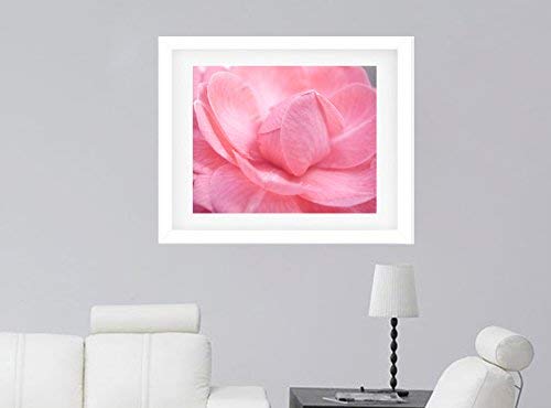 Pastel Pink Camellia Flower Macro Photography, Nursery Wall Art, Baby Girl Room Decor, Modern Floral Art Print, Fine Art Photography, Shabby Chic Decor Picture - Image 3