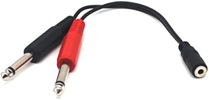 Riipoo 6.35mm to 3.5mm Adapter - 20cm 8 inch 2 Dual 1/4" TS 6.35mm Mono Male to 1/8" TRS 3.5mm Stereo Jack Female Adapter Splitter Y Cable Cord (Dual 6.35mm - 3.5mm)