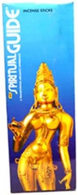 Raven Blackwood Imports Home Fragrance Incense Spiritual Guide 20pk Stks Opening Conscious Awareness Self Being Relaxation