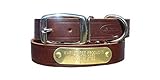 Warner Brand Cumberland Leather Dog Collar + Free Engraved Brass ID tag (21" Fits 15-19" Neck, Rich Brown)