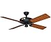 Hunter Outdoor Ceiling Fan Black 23838 52