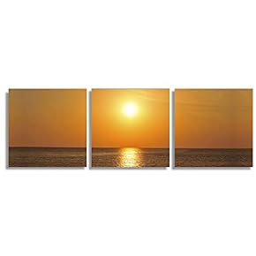 3 Piece Canvas Wall Art for Living Room Bedroom Home Artwork Popular Art Paintings Ready to Hang - 12"x12"x3 Panels