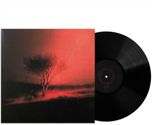 Amazon.com: Joji ‎– Ballads 1 Exclusive Limited Edition White