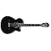 Ibanez AEG10NII Nylon String Acoustic-Electric Guitar (Black)