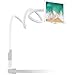 EasyAcc Gooseneck iPhone Holder iPad Stand Cellphone Stand Tablet Mount,1M Long Bolt Clamp with Bracket for Android or Apple Devices 4-10.6 Inches 360 Degree Rotating Flexible Arm(White Gray)