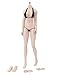 Phicen 1/6 Asia Female Seamless Body with Metal Skeleton Pale Skin Tones PLMB2018-S26A