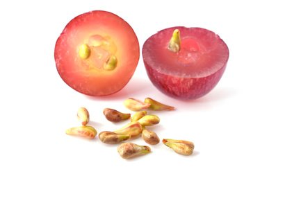 Isabella's Clearly GOLD, Best Bronzing Natural Oil Lotion. Moisturize Skin. Accelerates Sun Tan Healthy Glow. Broad Spectrum Moderate SPF Sunscreen. Olive, Carrot, Coconut and Extract, 2 OZ