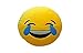 LAUGH TO TEAR Emoji Pillow Smiley Emoticon Yellow Round Cushion Stuffed Plush Soft Toy(Poop,Pinkpoop,Monkey,Money Mouth,Cat,Heart Eye,Laugh to Tear,Smirking,Throwing Kiss,Tongue,Devil,Nerd)