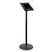Anti-Theft Tablet Security Stand Kiosk - Heavy Duty Aluminum Metal Floor Standing Mount Tablet Case Holder Display w/ 37.80 Inch Pole Height, Designed for iPad 2 3 4 Air Tablets - Pyle PSPADLK45 primary