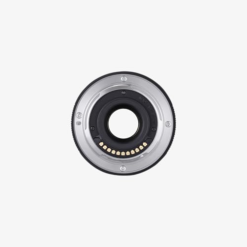 OM SYSTEM M.Zuiko Digital ED 60 mm F2.8 Macro Lens, High Quality Micro Four Thirds Optics, High Resolution Close-up Shots, Dust and Splashproof, for Nature and Portrait Shooting, for All MFT Cameras