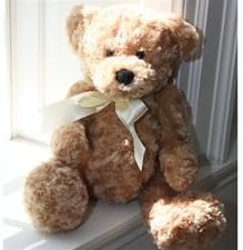 Amazon.com: Beverly Hills Teddy Bear 18 