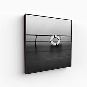 Canvas Wall Art for Living Room, Bedroom Silence Framed Canvas Prints for Home Decoration Ready to Hang - 16x16 inches