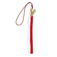 GradPlaza Graduation Tassel with Silver or Gold 2019 Year Charm Double Color