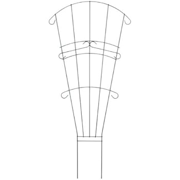 Amazon.com : Gronomics Expandable Fan Trellis Kit, 38 by 72" : Garden