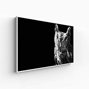 Canvas Wall Art for Living Room, Bedroom Animal Portrait Framed Canvas Prints for Home Decoration Ready to Hang - 16x24 inches