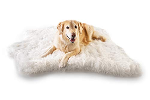 memory foam puprug