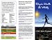 100 Color Tri-fold Brochures to Promote Ion Spa Chi Foot Baths!