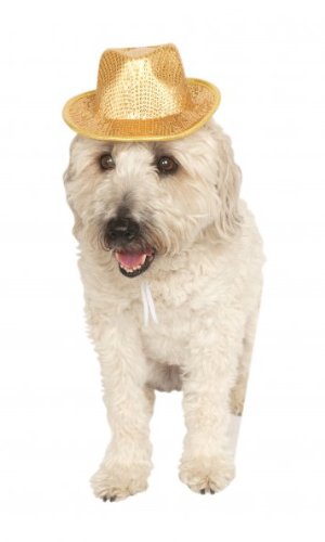 Rubies Costume Company Fedora Pet Costume Accessory
