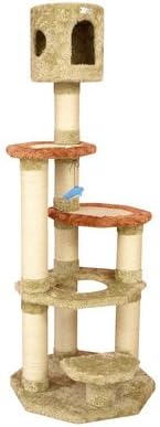 armarkat cat tree petsmart