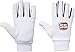 SS Legend Premium Cricket Wicket Keeping Gloves ' Mens Size