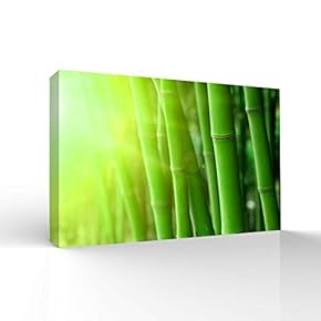 Wall26-Canvas Wall Art-Quiet Bamboo Grove-Giclee Painting Wall Bedroom Living House Decoration Home Art - 12x18 inches