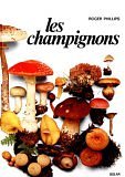 Image de Les Champignons