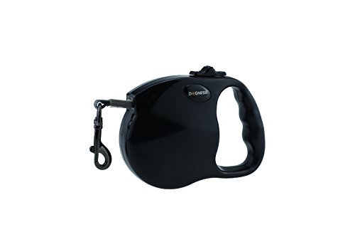 25 ft retractable dog leash