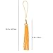 LUOEM Graduation Tassels with Gold 2018 Charm (Gold)