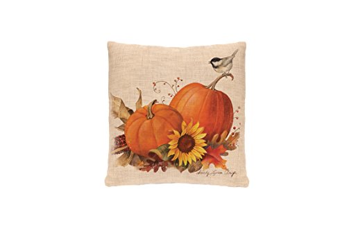 Heritage Lace Harvest Pumpkin Woven Pillow Cover, 18 by 18-Inch, Natural