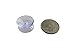 GiftWrap Etc. Small Double Sided Suction Cups - 20 mm, Set of 10, Clear, Christmas, for Glass Windows, Windshield, Tile, Kitchen, Bathroom Mirror, Shower Wall, Terrarium, Car Window, Office