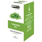 Amazon Com Taramira Eruca Sativa Essential Oil 100 Pure Natural Undiluted Uncut Oil Best For Aromatherapy Therapeutic Grade 15ml Beauty