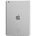 Apple iPad mini MD529LL/A Wifi Wi-Fi 64GB, White (Renewed)