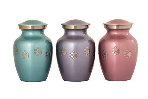 Enshrined Memorials Cremation Urn for Ashes - Cerberus Series Affordable Brass Handcrafted Pets Dogs Cats Funeral Burial Small 6 inch Paw Prints