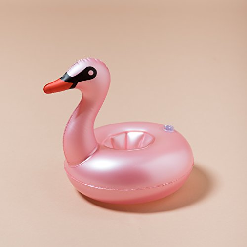 pool toy rose Sexy Maid Fashion Clubwear Halloween Cosplay Costume main image 1