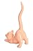 Beth Marie Luxury Boutique Cat Ring Holder, Cute Coral Ceramic Engagement and Wedding Ring Holder, Measures 2.75