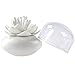 MelonBoat Lotus Cotton Swab Holder, Small Q-Tips Toothpicks Storage Organizer, White