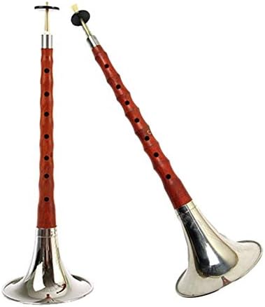 High Quality Rosewood Suona/Shanai For Beginners Chinese Folk Wind Musical Instrument Zurna/Laba Key Of C/D/E/bB/Major A/Major G (Color : Key of Major G)
