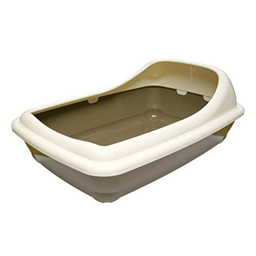 Birba Large Tray with Rim Assorted