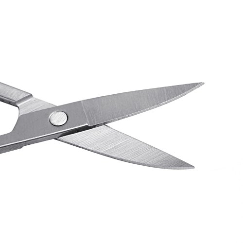 Autumn Water 1Pc Cuticle Cutter Stainless Steel Dead Skin Remover Pedicure Scissors Nail Tool Drop Shipping Support