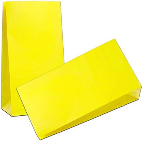 KIYOOMY Small Paper Bags Yellow Kraft Party Favor Gift Bags for Wedding Baby Shower Kid’s Birthday Party (24 CT, Yellow Color)