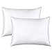 FLXXIE 2 Pack Zipped Satin Standard Pillowcases for Hair and Skin, Silky and Super Soft (20